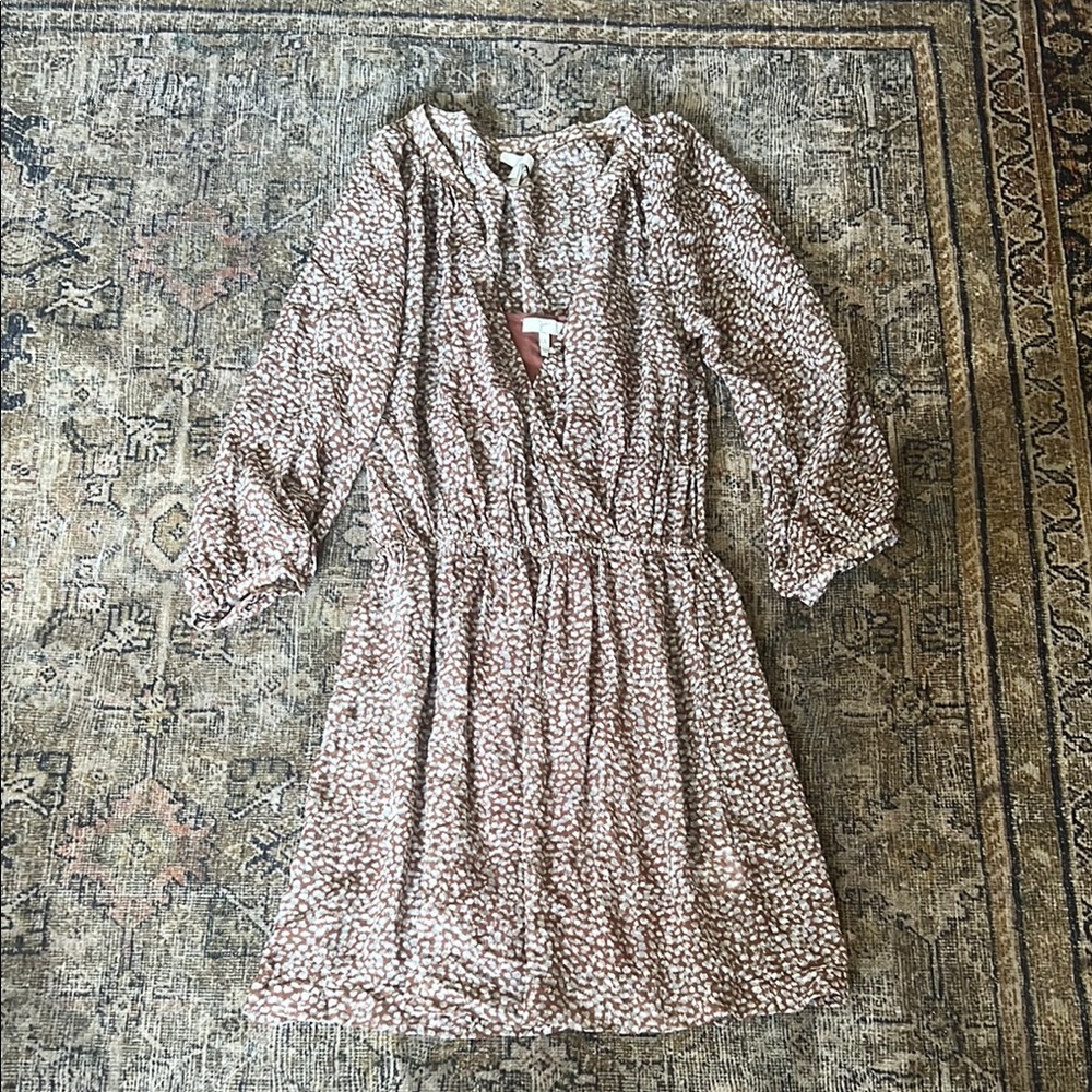 Joie Silk brown leopard print chiffon mini dress size small lined lightweight